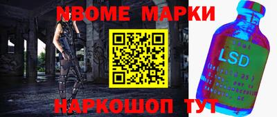 стаф Кинель