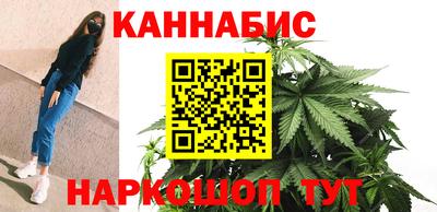 стаф Кинель