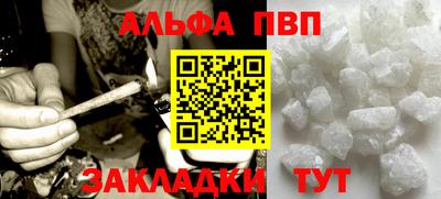 прущие грибы Кингисепп