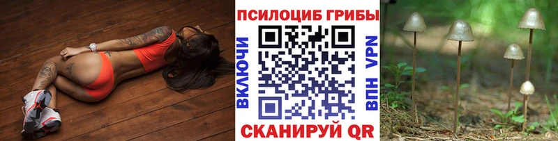 Галлюциногенные грибы прущие грибы  Новочеркасск 